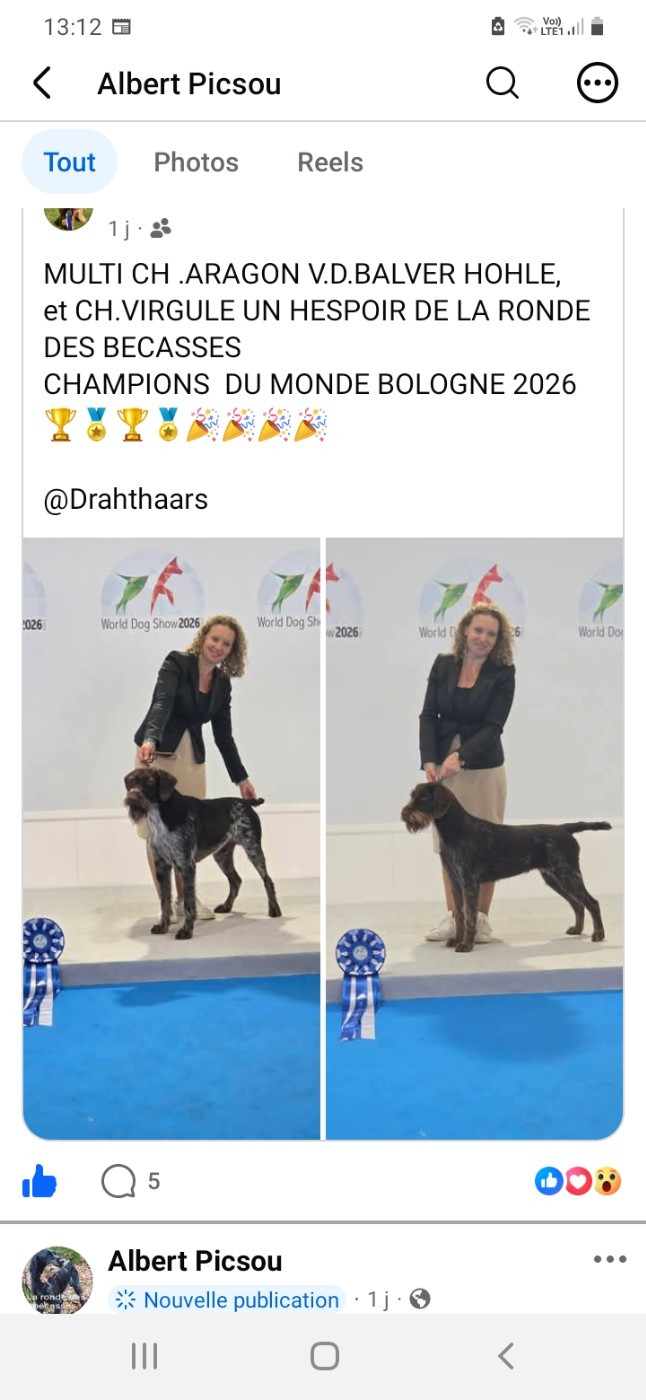 Champions du monde !